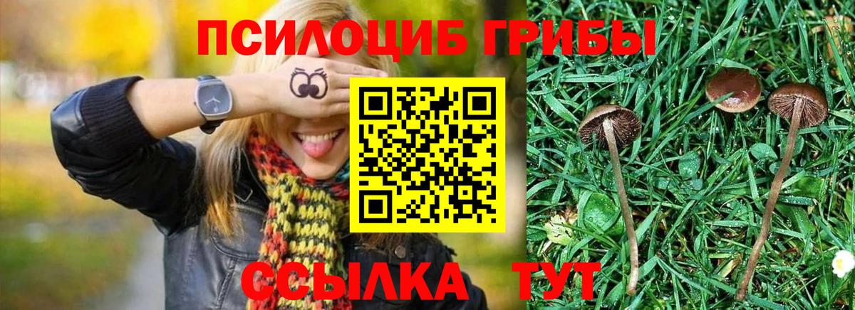 Мичуринск  Галлюциногенные грибы мухоморы  Вход с VPN 