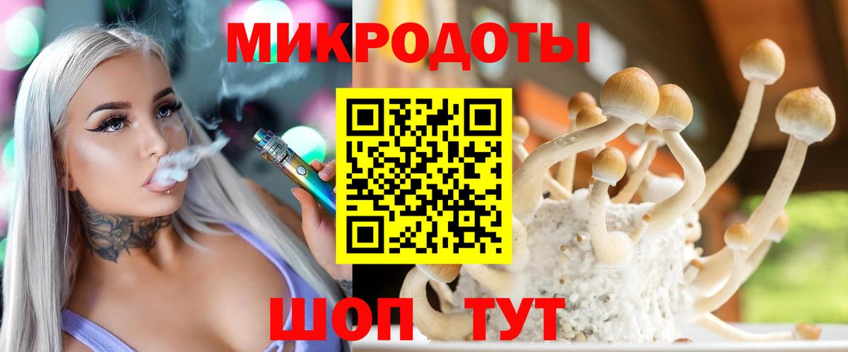 Псилоцибиновые грибы мухоморы Мичуринск